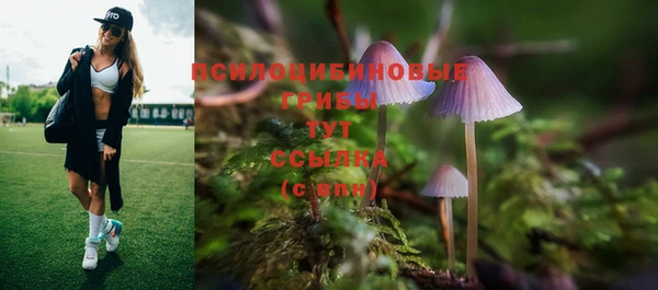 прущий лед Верхний Тагил