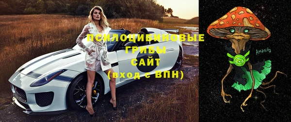 прущий лед Бронницы