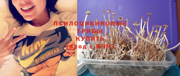 первитин Тихвин
