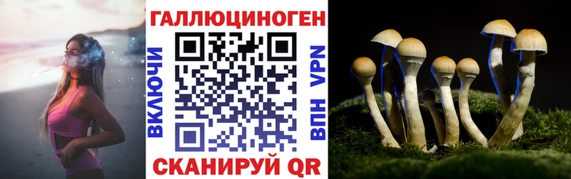 цена Медногорск кракен Галлюциногенные грибы мухоморы